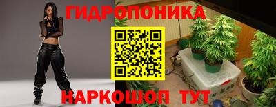 крисы Партизанск