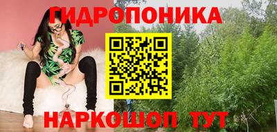 крисы Партизанск