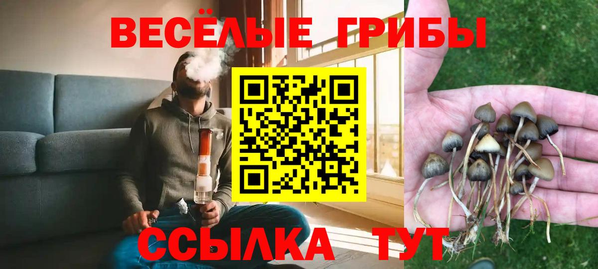 Гашиш Глазов