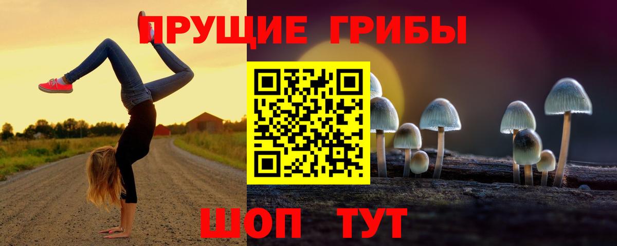 Псилоцибиновые грибы мухоморы Глазов